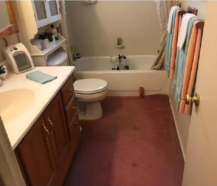 Pink Carpet in restroom. 
