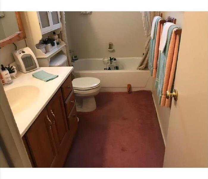 pink carpet in restroom. brown vanity, white tub and toilet. 